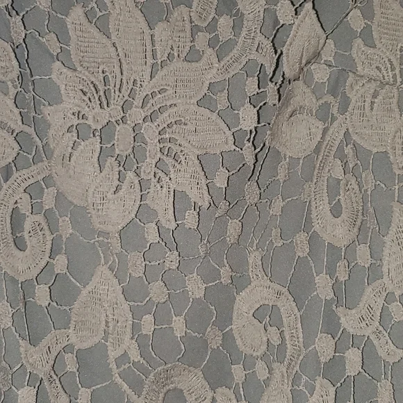 AX Paris lace sheath dress - Picture 7 of 7